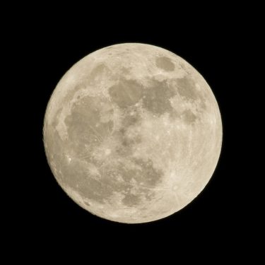 ムーンライト・セレナーデ/ Moonlight Serenade